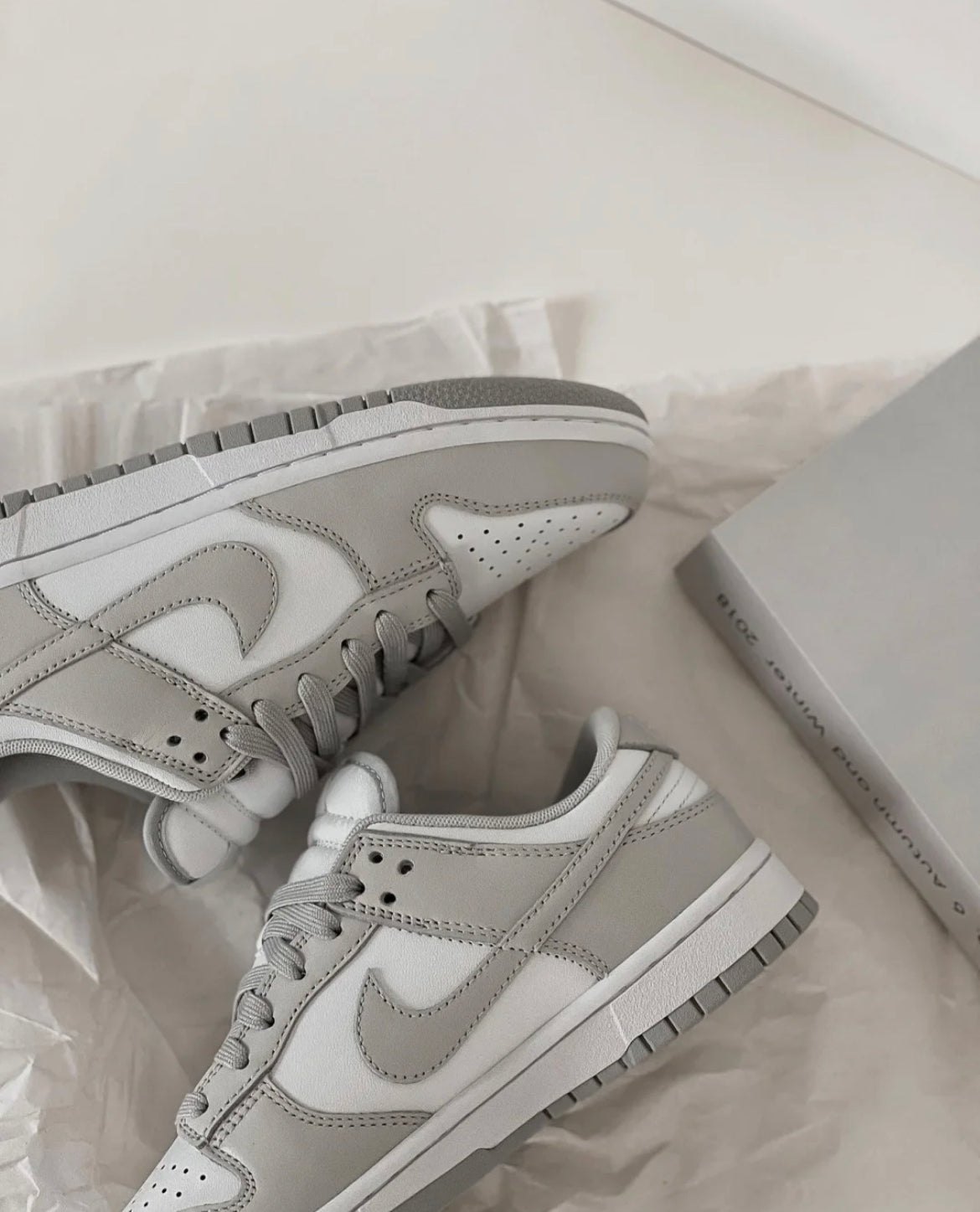 Dunk Low Grey Fog